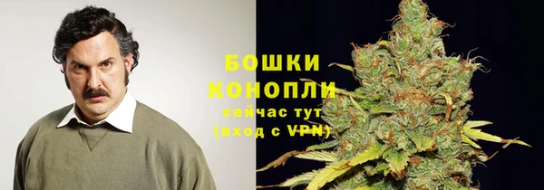 спайс Костерёво
